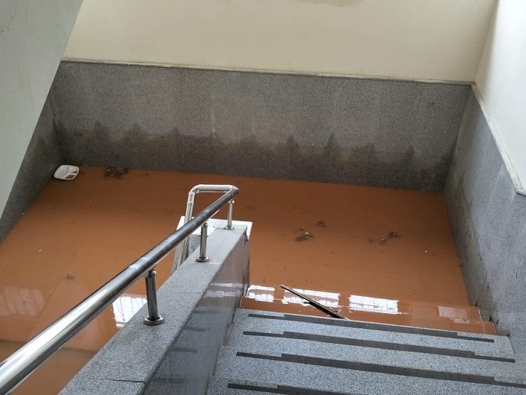 Sağanak yağış sele döndü, araziler ve hayvanlar sular altında kaldı