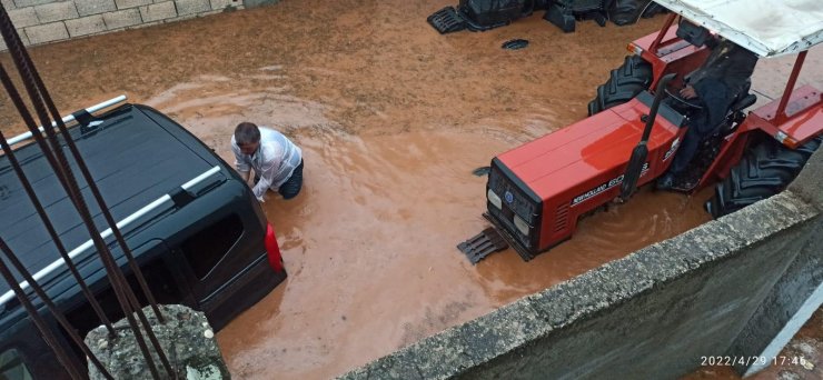Sağanak yağış sele döndü, araziler ve hayvanlar sular altında kaldı