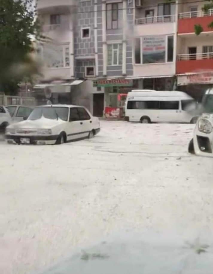 Sağanak yağış sele döndü, araziler ve hayvanlar sular altında kaldı