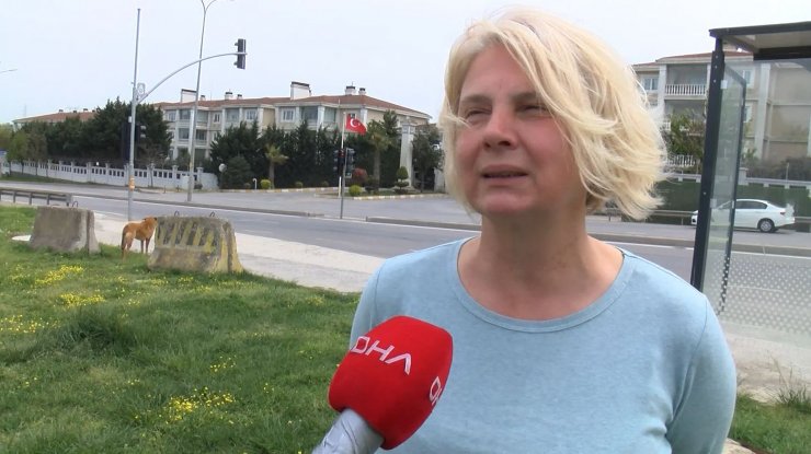 Sokak köpeğine vuran güvenlik görevlisi gözaltına alındı