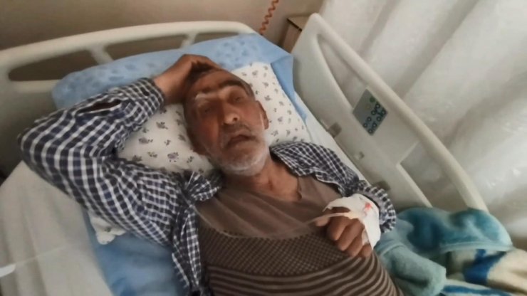 71 yaşındaki valenin ölümden döndü