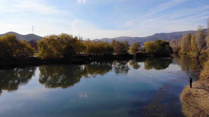 Irmaktan tutulan balığı tüketen aynı aileden 9 kişi zehirlendi