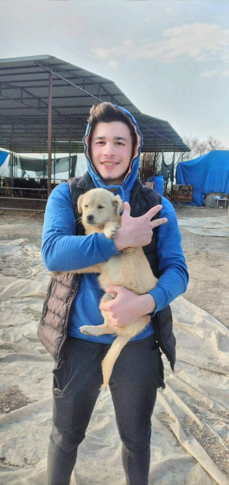 Otomobil, aydınlatma direğine çarptı