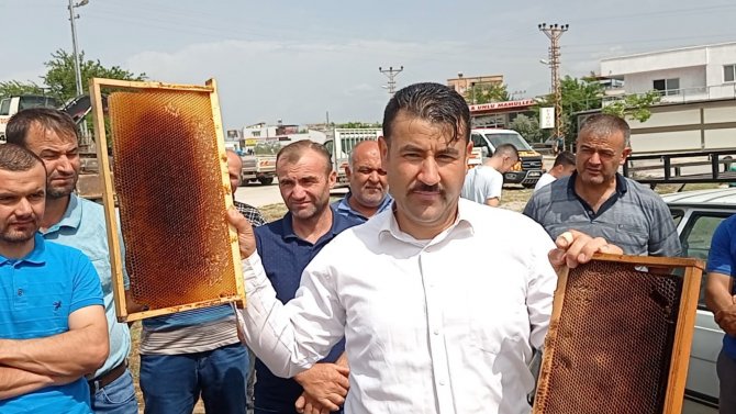 Arıcılar sahte bala dikkat çekti
