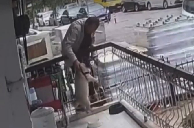 Balkona tırmanıp köpeği çaldı: O anlar kamerada
