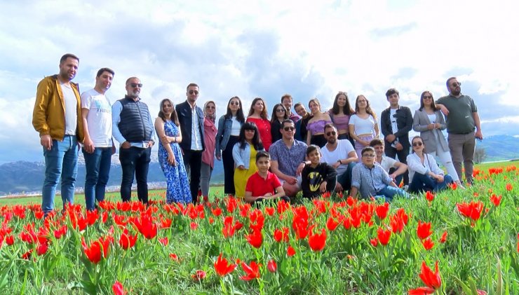 Muş lalesi, ovayı kırmızıya boyadı