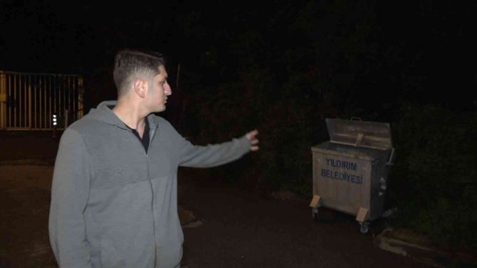 Şehir merkezinde ayı paniği