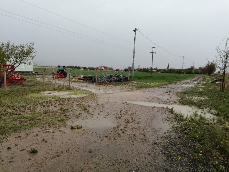Dolu, tarım alanı ve ağaçlara zarar verdi