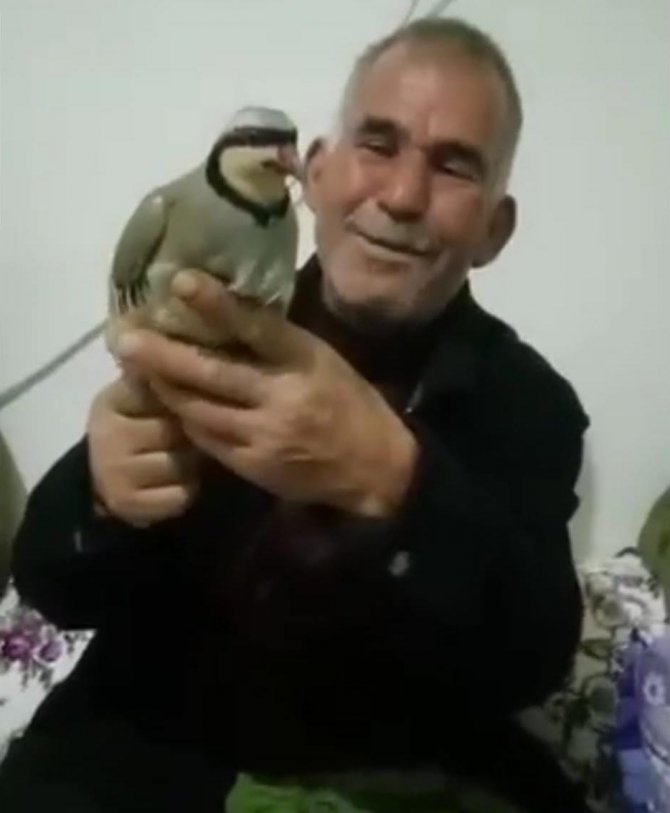 Elektrik akımına kapılan çiftçi hayatını kaybetti