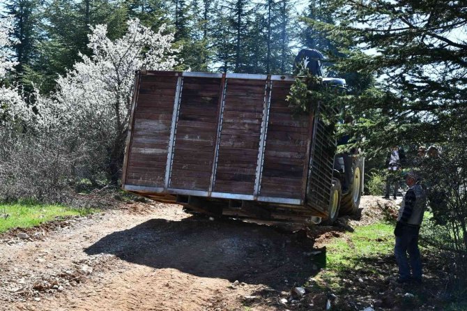 Kızıl geyiklerin yeni yuvası Spil Dağı