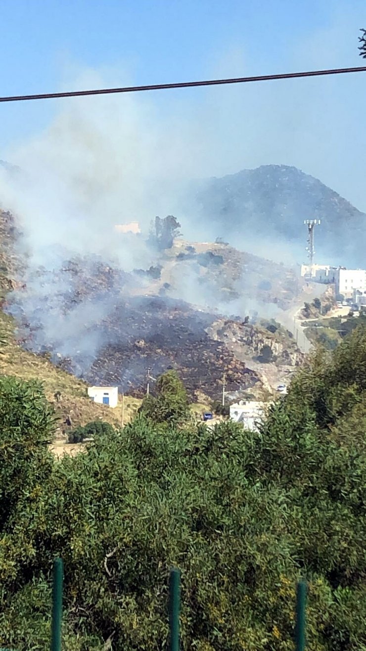 Otluk ve makilik alanda çıkan yangında 1,5 hektar alan tahrip oldu