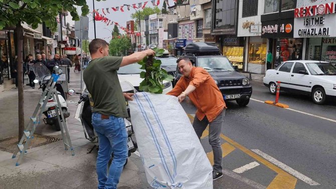 Sokakta arı istilası: Vatandaş kaçacak yer aradı