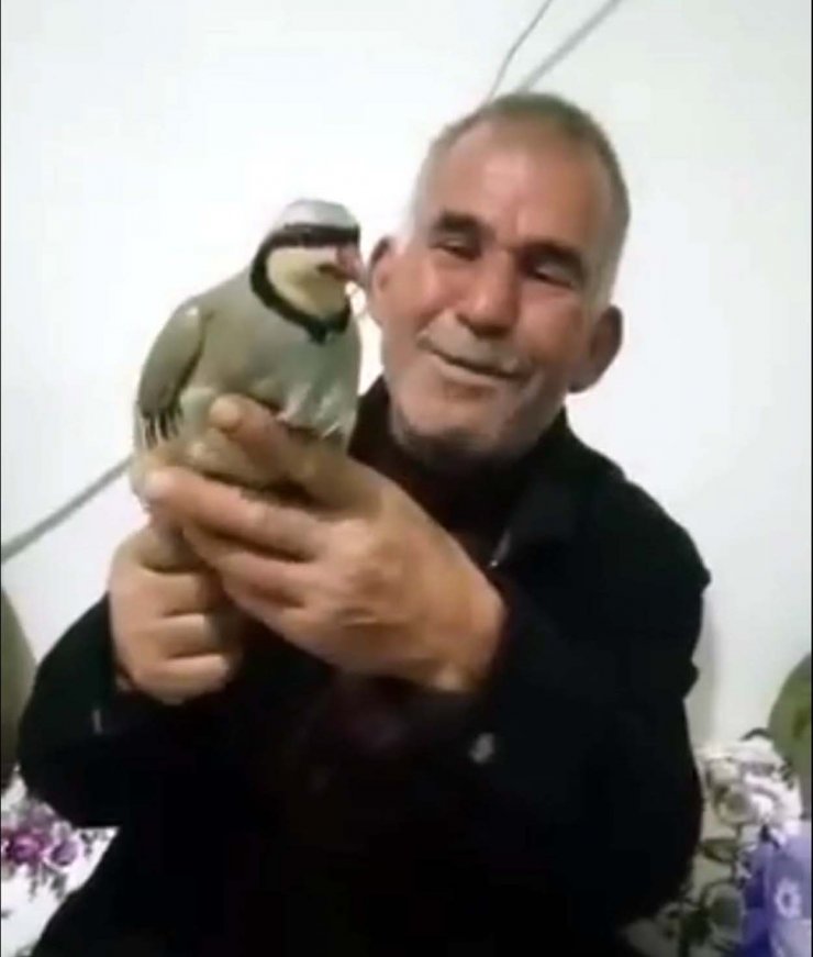 Tamir için çıktığı elektrik direğinde akıma kapılıp öldü 