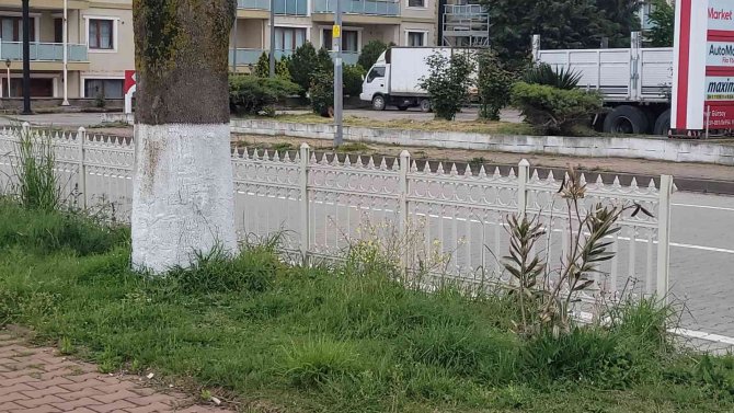 Tartıştığı şahsı pompalı tüfekle yaraladı