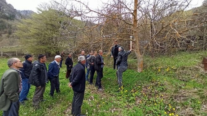 Üreticilere ’meyve ağaçlarında budama ve aşılama’ eğitimi verildi