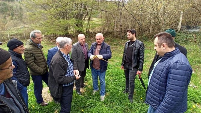 Üreticilere ’meyve ağaçlarında budama ve aşılama’ eğitimi verildi