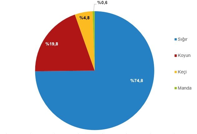 2021'de kırmızı et üretiminde yüzde 9,3 artış