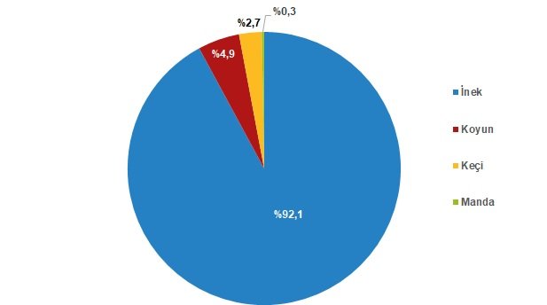 2021'de kırmızı et üretiminde yüzde 9,3 artış