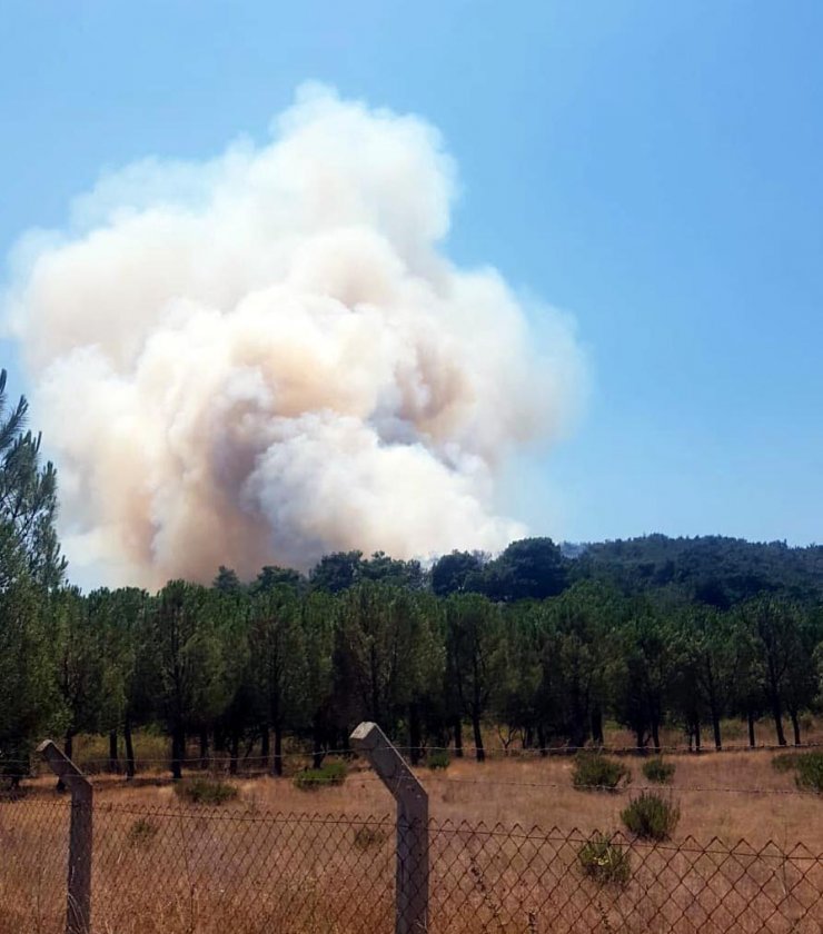 Giriş yasağı getirilen ormanlar açıklandı