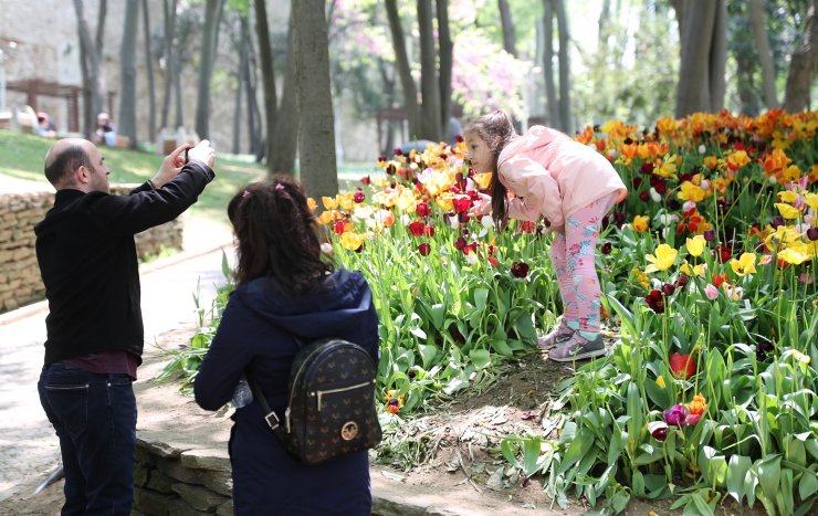 Gülhane Parkı'nda 'Lale bayramı' erken bitti