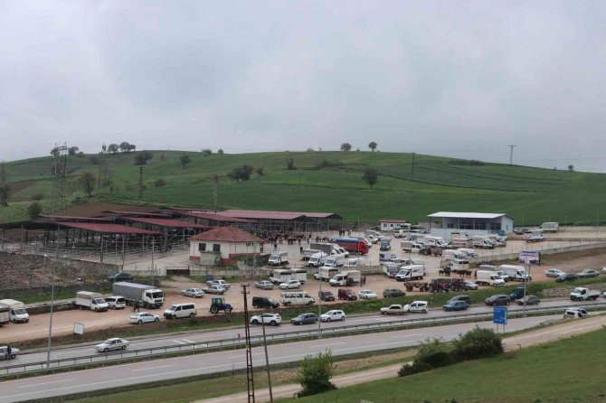 Havza Kapalı Canlı Hayvan Pazarı açıldı