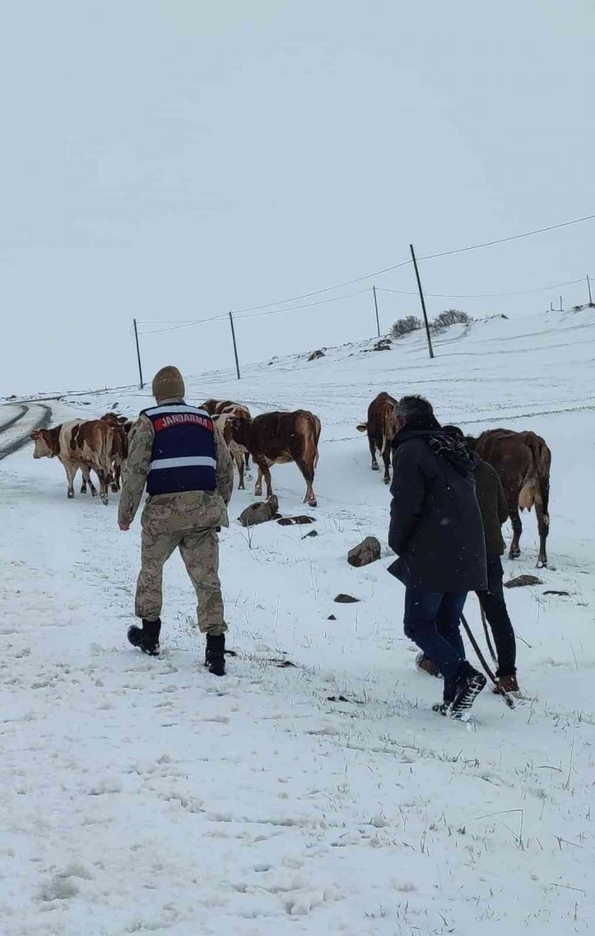Hayvan otlatırken kaybolan yaşlı kadın bulundu