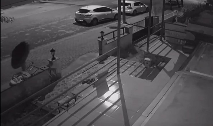 Sırtında trambolinle hırsızlık girişimi kamerada