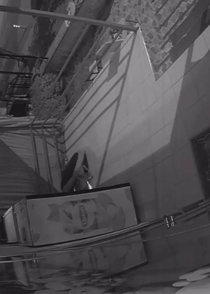 Trambolinli hırsızlık görenlerini hayrete düşürdü