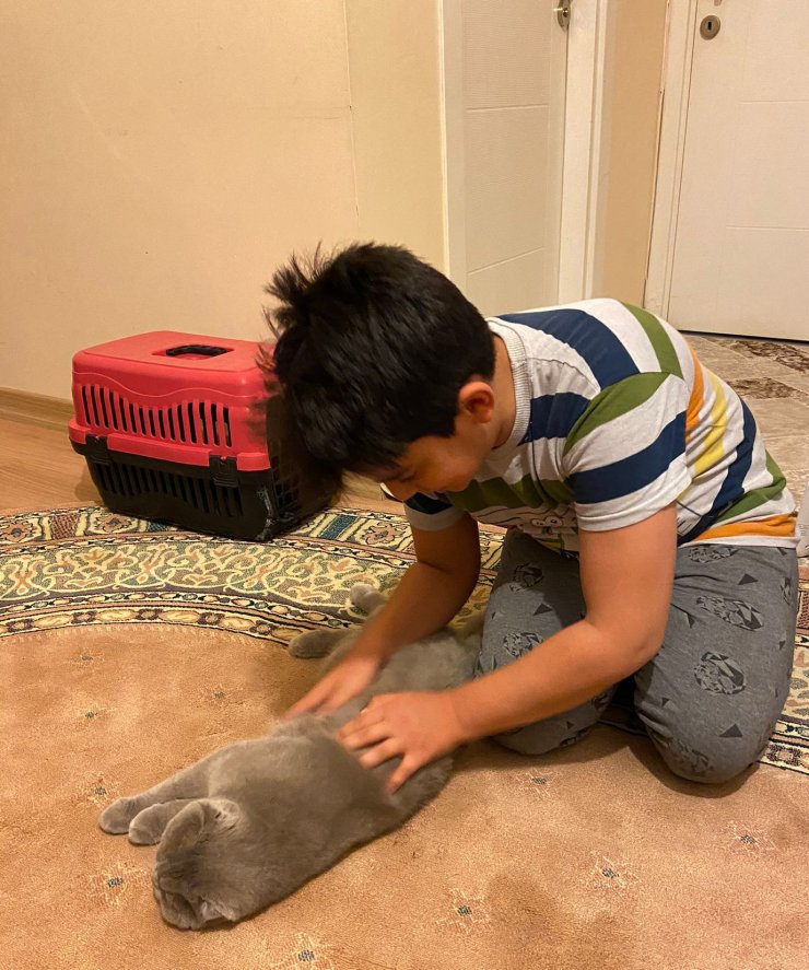 Arandığını duyan hırsız çaldığı kediyi taksiyle geri gönderdi