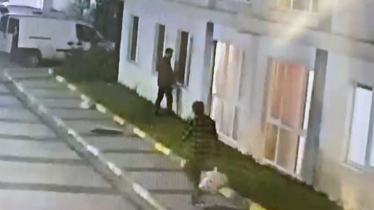 Arandığını duyan hırsız çaldığı kediyi taksiyle geri gönderdi