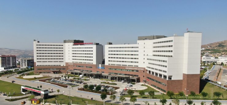 Arazisine giren sürüye müdahale eden muhtar, çoban tarafından öldürüldü