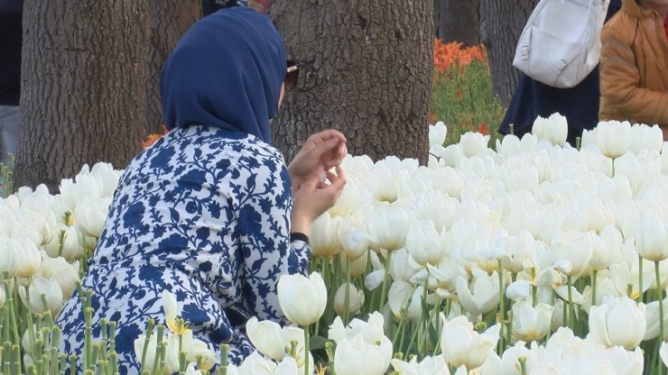Emirgan Korusu’ndaki 'lale şöleni'ne fotoğraf gölgesi