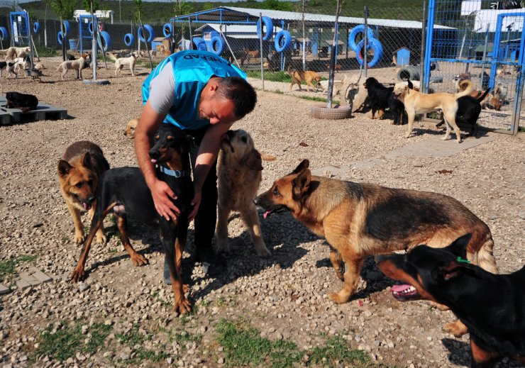 'İnternetten yasaklı ırkların satışı engellenmeli'