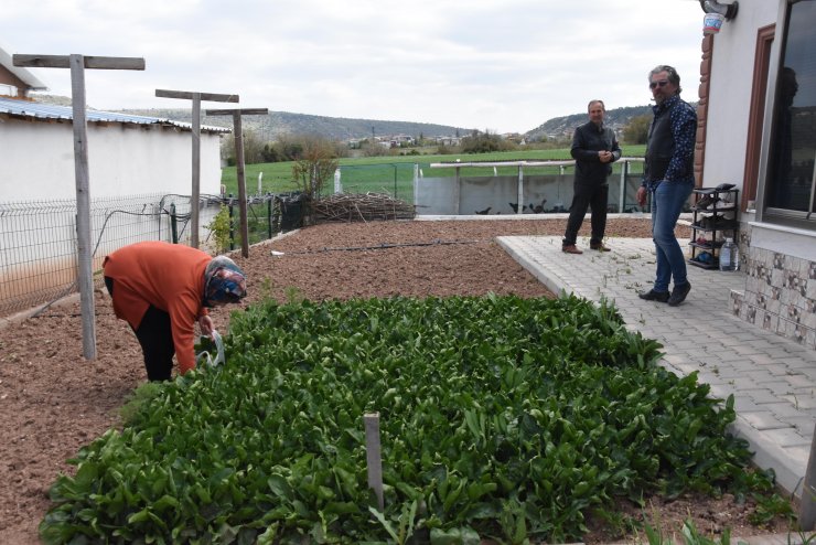 Kaçak yapılarına yıkım kararı çıkınca ellerinde dövizlerle eylem yaptılar