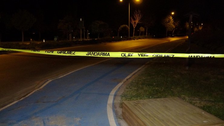 Kazayla yeğenini öldürüp, pulluğunu çalan kişiyi de yaralayan kişi tutuklandı