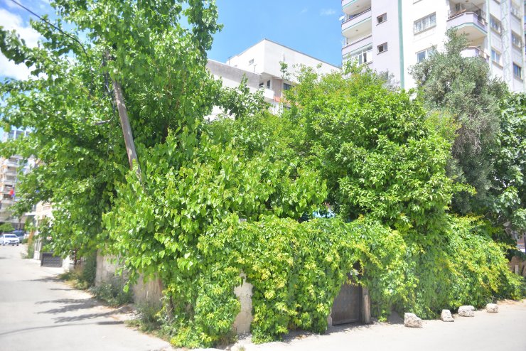 Polisler, ihbar üzerine gittikleri evde hiç ziyaretçisi olmayan kadını ağlarken buldu