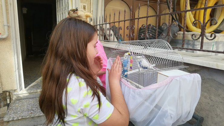 Yangında mahsur kalan muhabbet kuşları ve kediyi itfaiye kurtardı