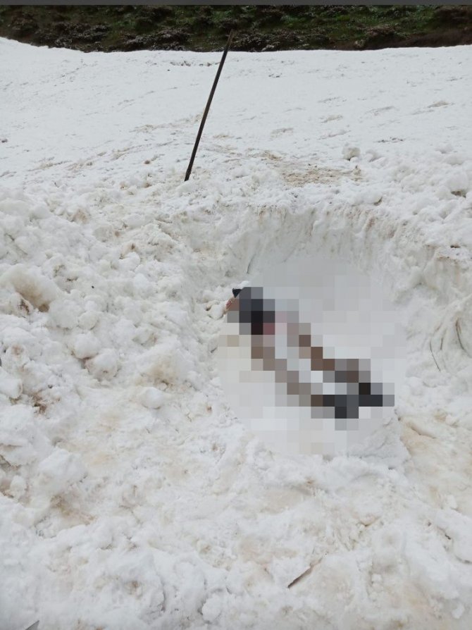 5 ay önce çığ altında kalan 3 İranlının cesedi bulundu