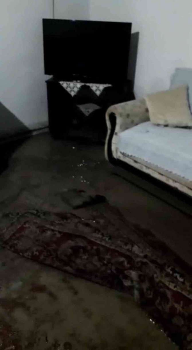 Ev ve ahırlar su altında kaldı