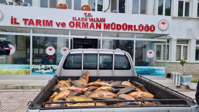 Kaçak avlanan 500 kilogram balık yakalandı