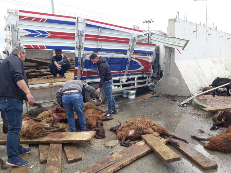 Koyun yüklü kamyonet otomobile çarptı