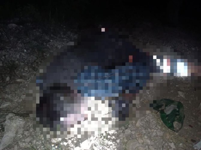 Kullandığı traktörün devrilmesi sonucu hayatını kaybetti