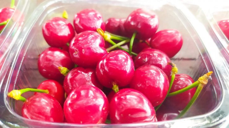 Mersin'de turfanda kiraz hasadı