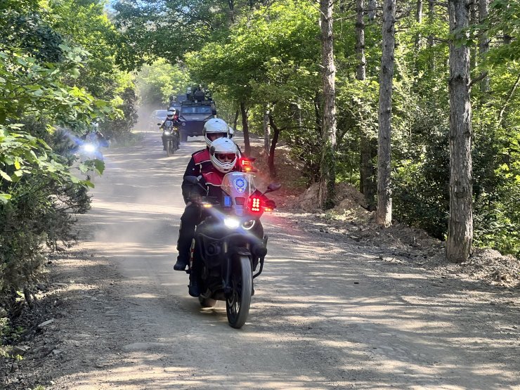 Ormanda geniş çaplı denetim yapıldı