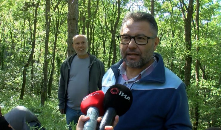 Ormanda geniş çaplı denetim yapıldı