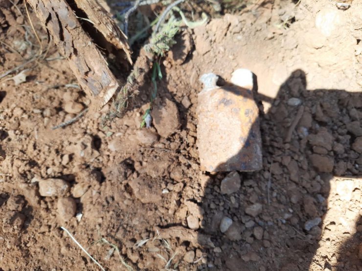 Ormanda patlamamış el bombası bulundu