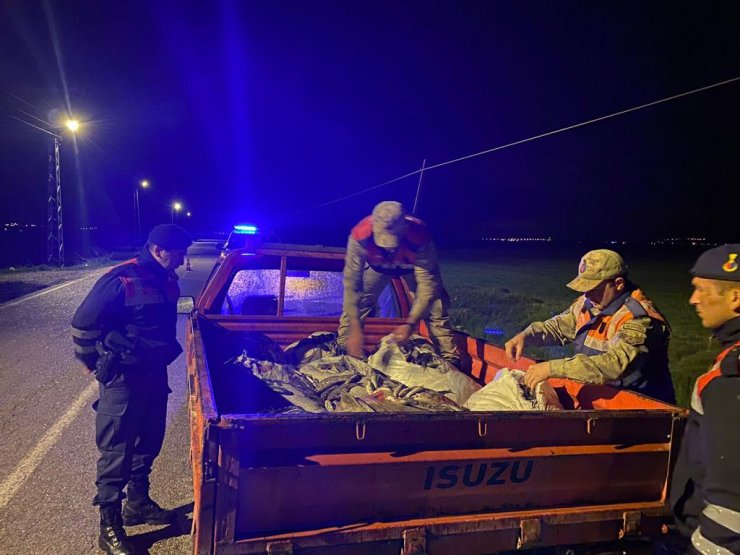 Van'da kaçak avlanan 1 ton inci kefali ele geçirildi