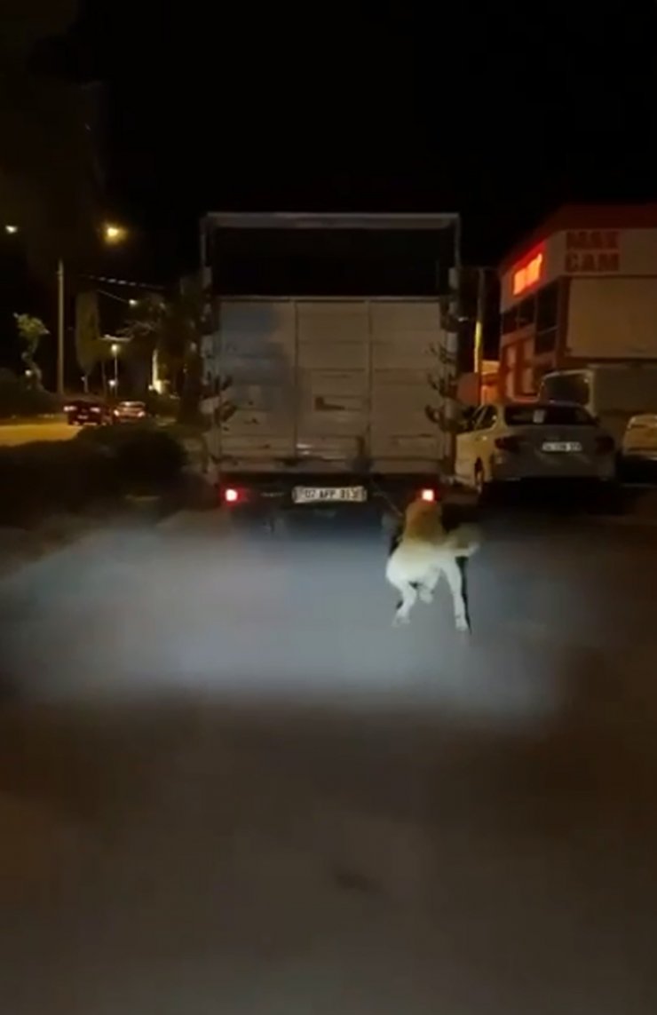 Vicdansız sürücü