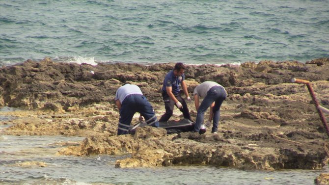 Sahilde erkek cesedi bulundu