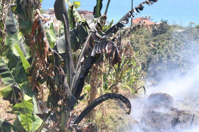 Boş arazide yangın çıktı